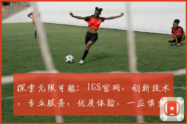 探索无限可能：IGS官网，创新技术，专业服务，优质体验，一应俱全。