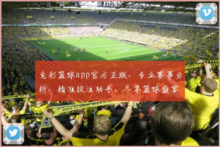 竞彩篮球app官方正版，专业赛事分析，精准投注助手，尽享篮球盛宴，不容错过