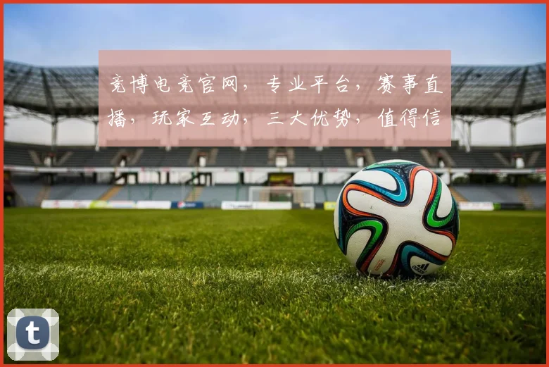 竞博电竞官网，专业平台，赛事直播，玩家互动，三大优势，值得信赖，一网打尽